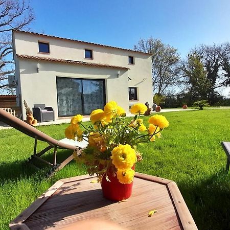 Villa Sandrine, Confortable Et Cosy Proche D'Aix En Provence Meyrargues Exterior foto